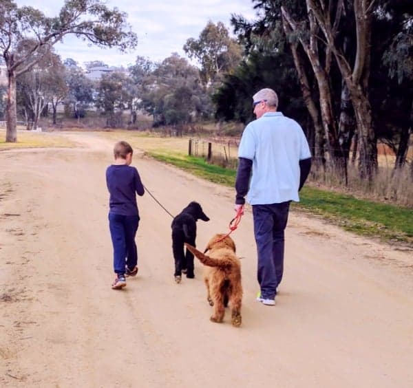 Walking the dogs in rural New South Wales