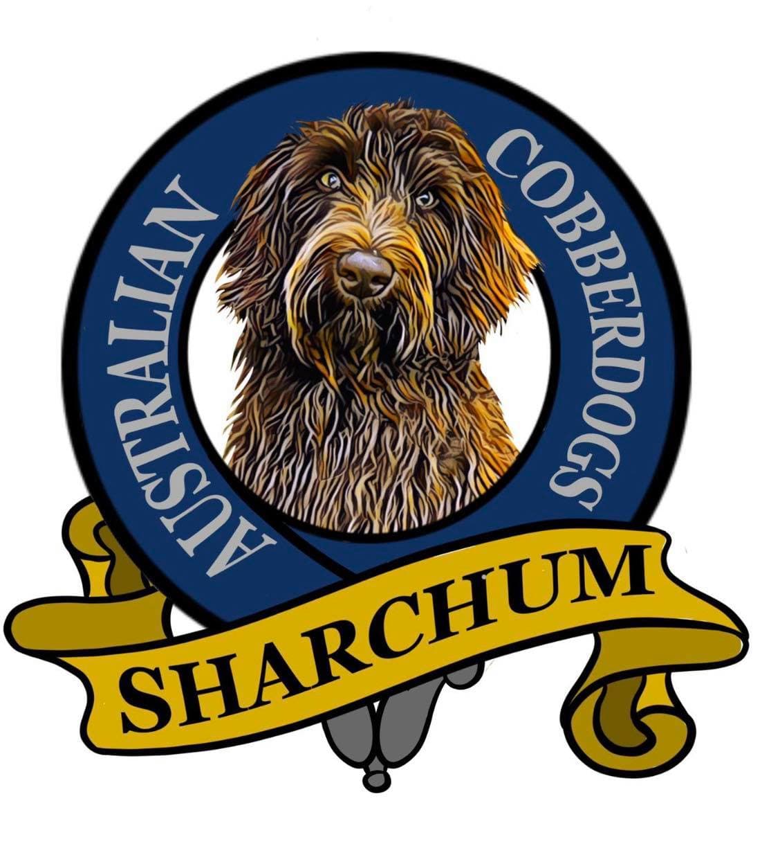 Sharchum Australian Cobberdogs