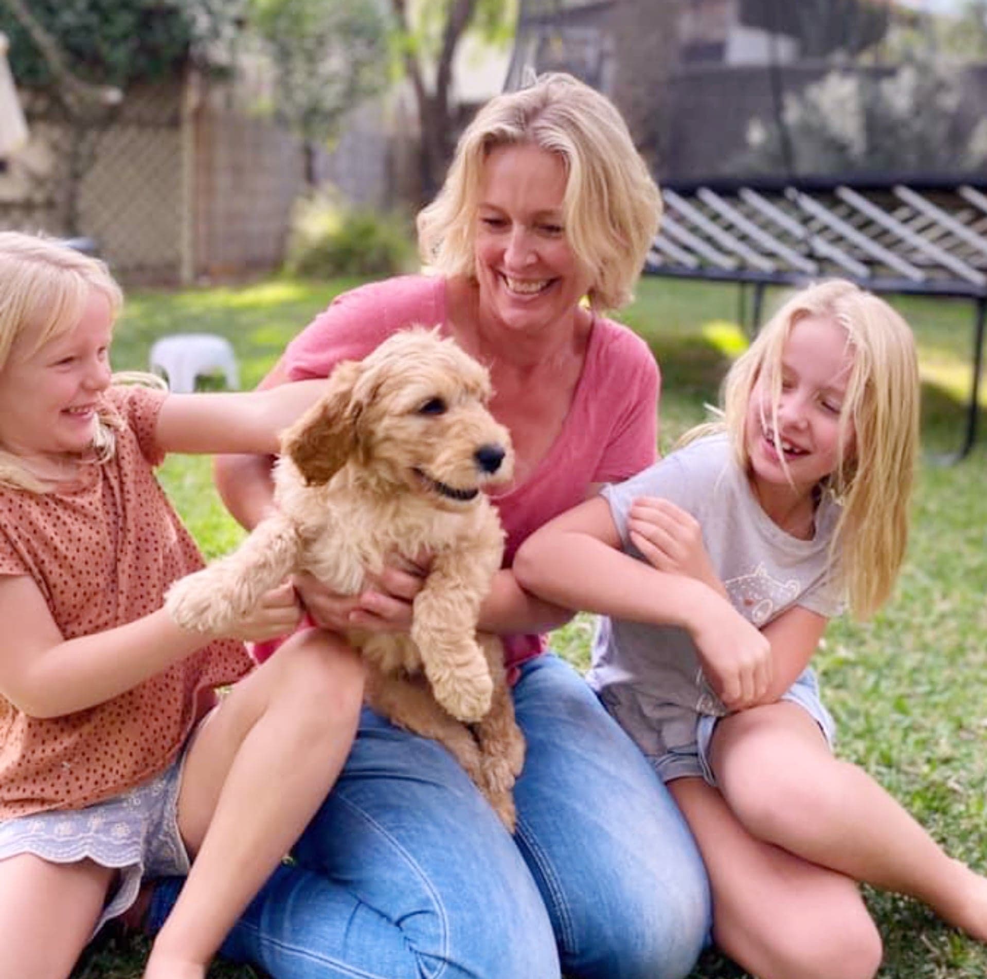 A family welcoming their new Australian Cobberdog puppy